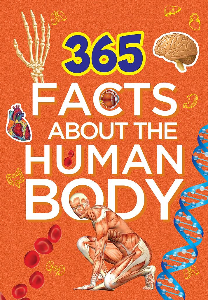 40-amazing-weird-and-jaw-dropping-facts-about-the-human-body