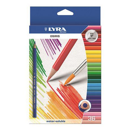 Lyra 12 Colour Pencil (Youngster)