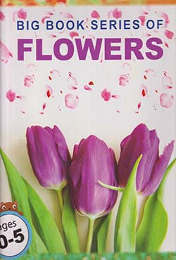 Big Book Series Of Flowers (পেপারব্যাক)