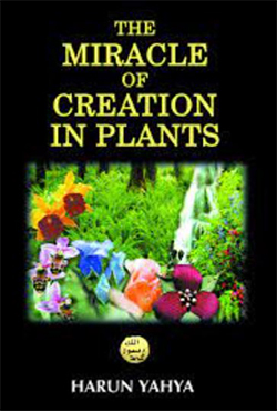 The Miracle of Creation In Plants (পেপারব্যাক)