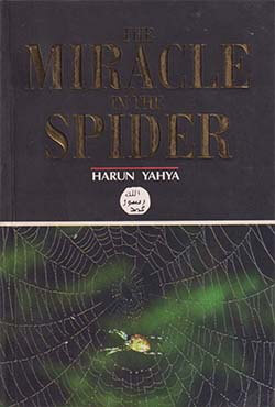 The Miracle in the Spider (পেপারব্যাক)