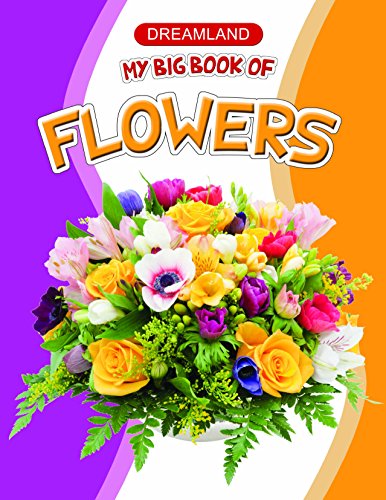 My Big Book of Flowers (পেপারব্যাক)