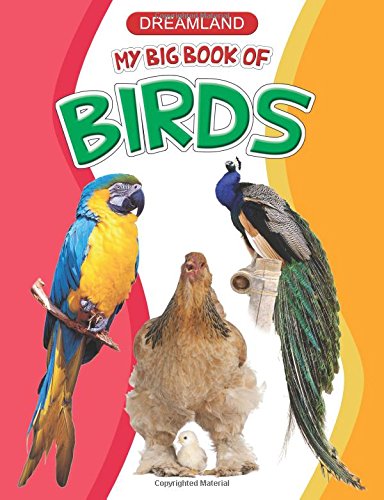 My Big Book of Birds (পেপারব্যাক)