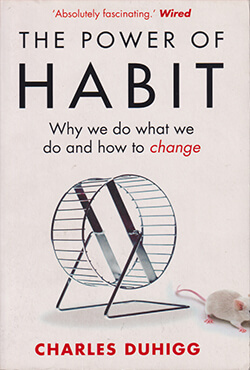 The Power of Habit: Why We Do What We Do, and How to Change (পেপারব্যাক)