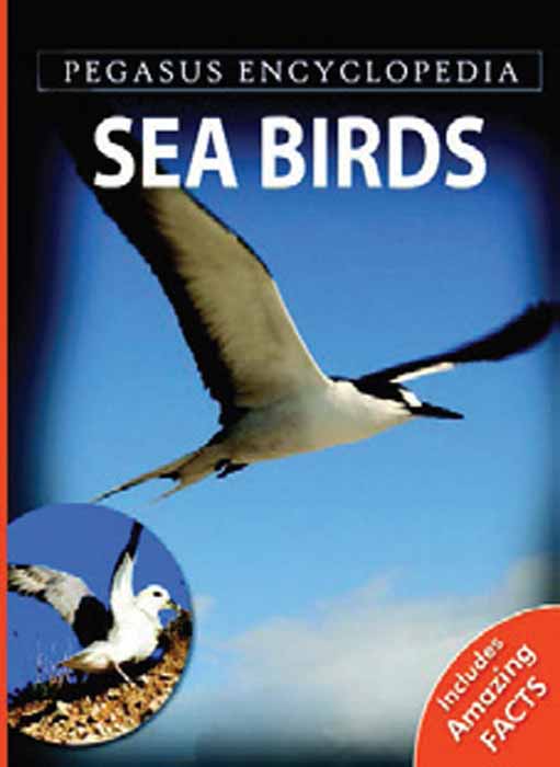 Pegasus Encyclopedia Sea Birds (হার্ডকভার)