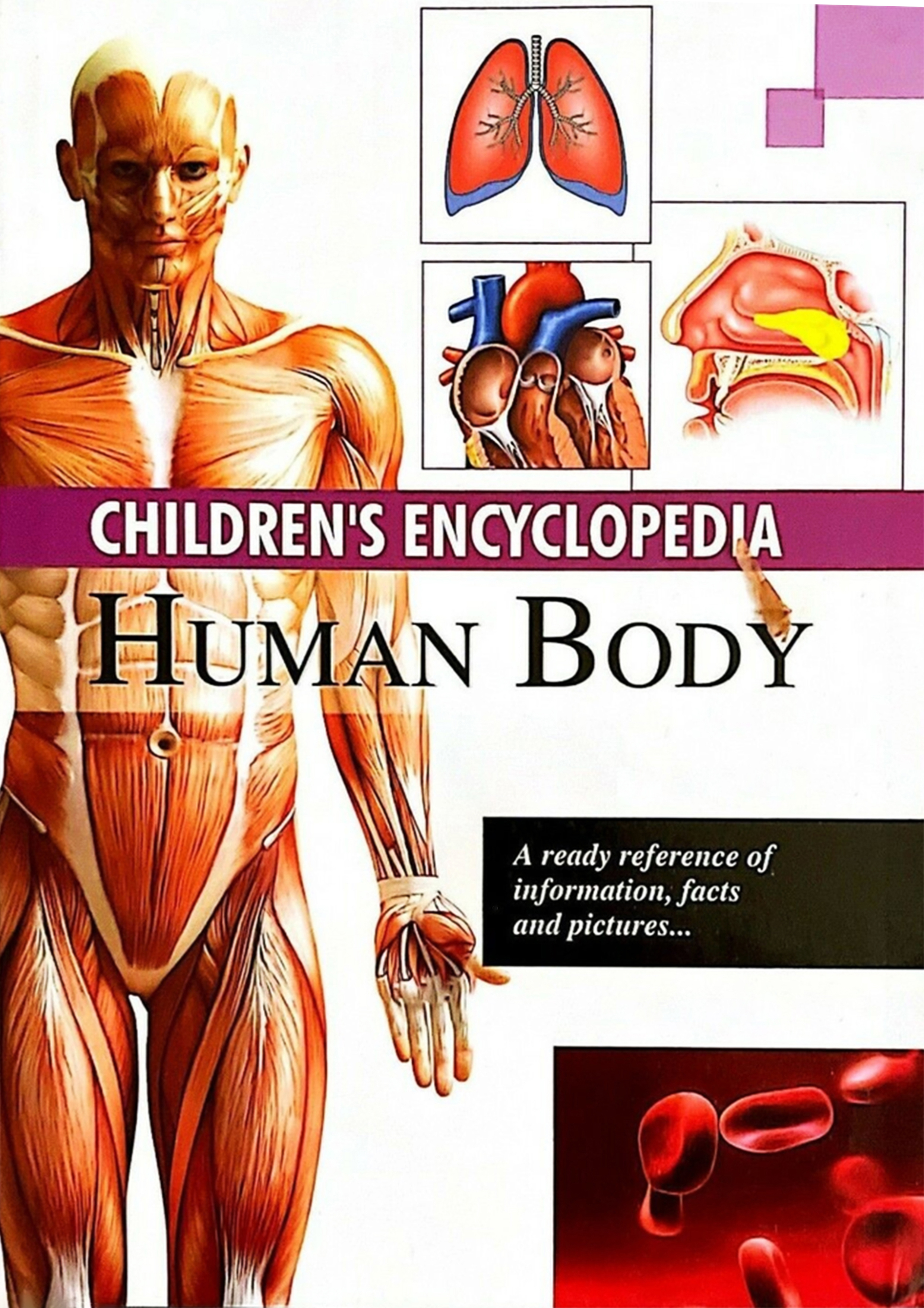 Childrens Encyclopedia Human Body (হার্ডকভার)