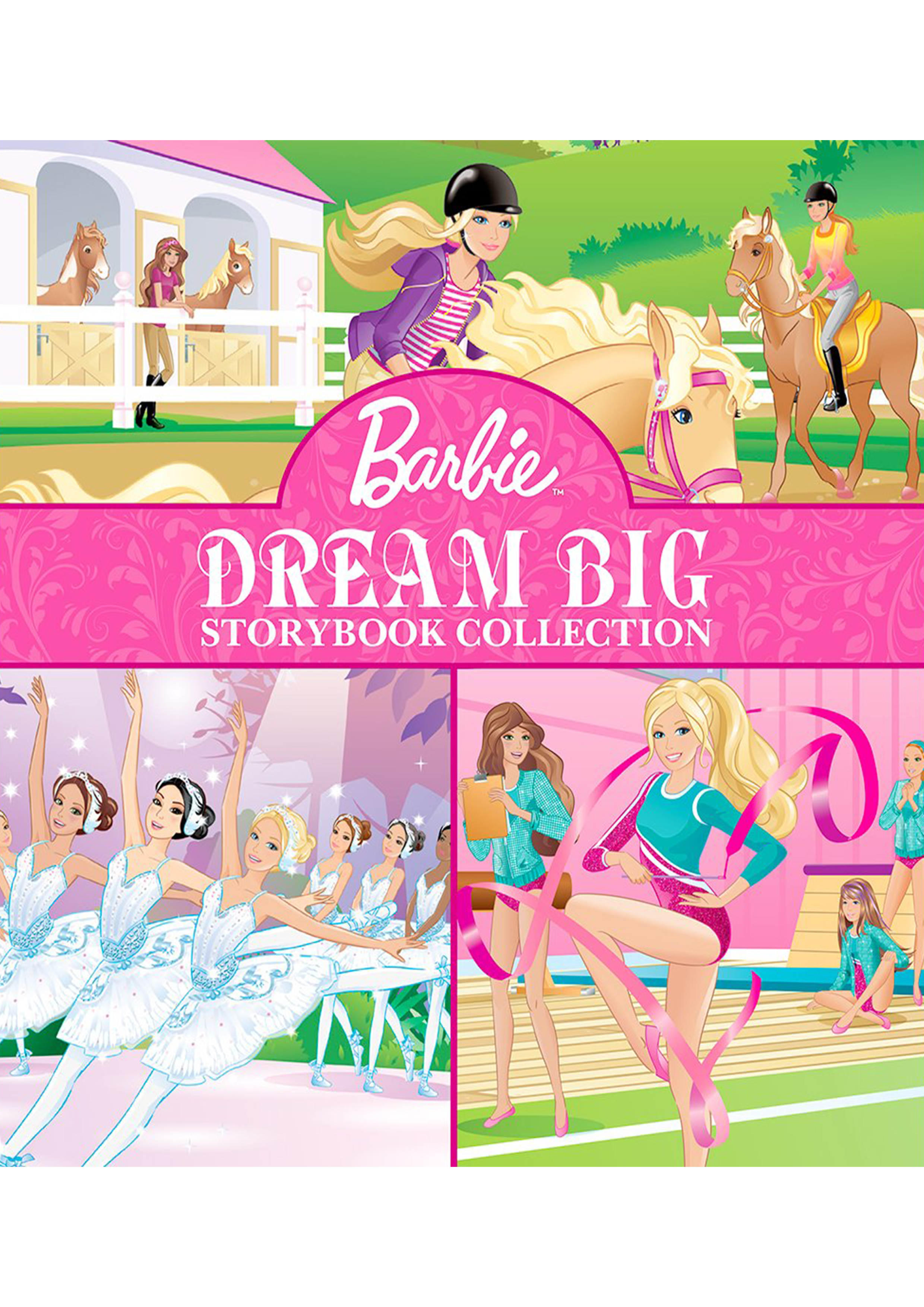 Barbie: Dream Big Storybook Collection (Shree) (হার্ডকভার)