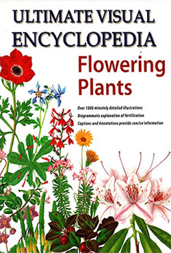 Ultimate Visual Encyclopedia Flowering Plants (Shree) (হার্ডকভার)