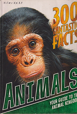 300 Fantastic Facts Animals (পেপারব্যাক)