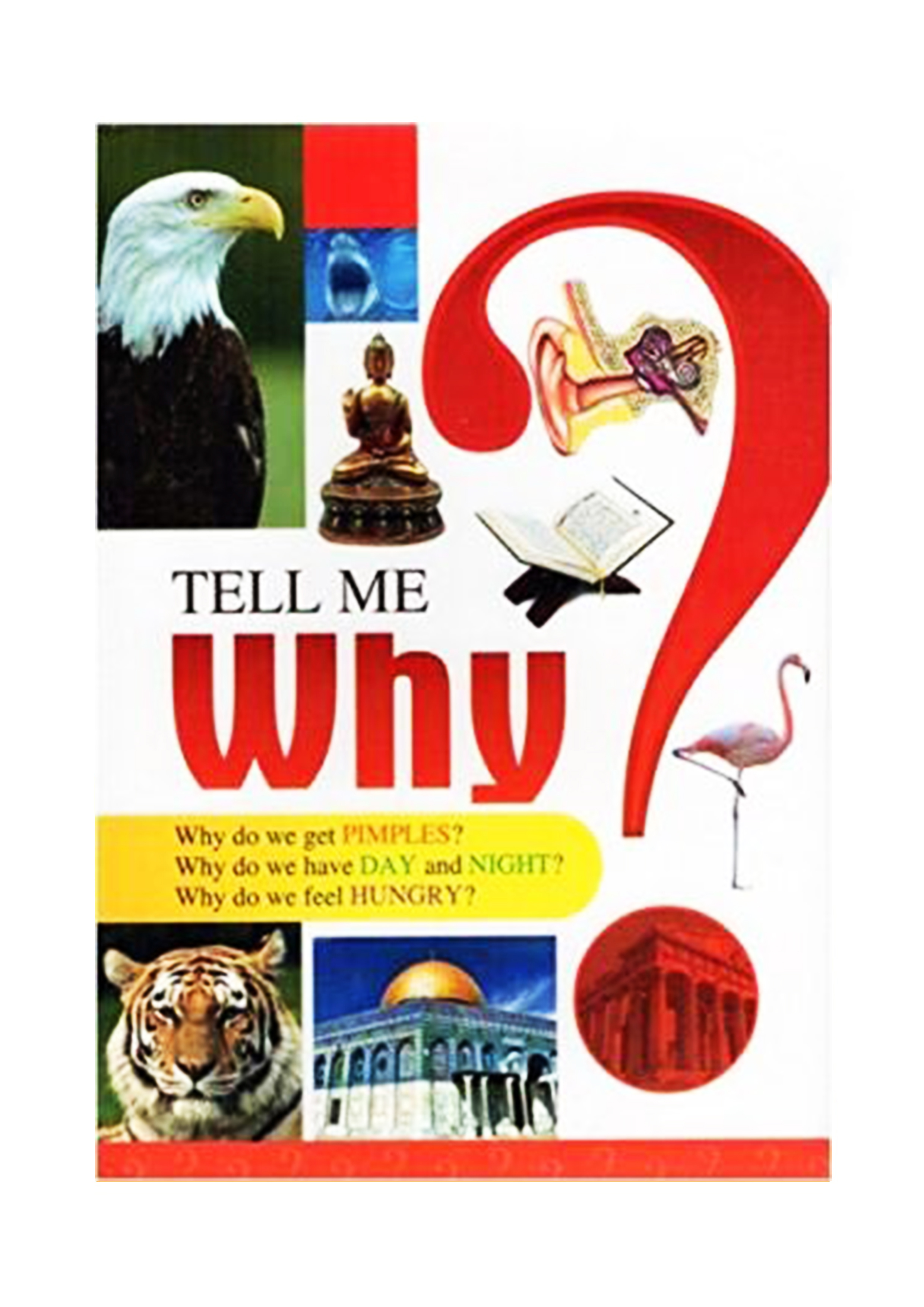 Tell Me Why? (হার্ডকভার)