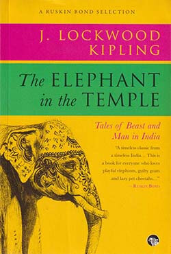 The Elephant in the Temple - Tales of Beast and Man in India (পেপারব্যাক)