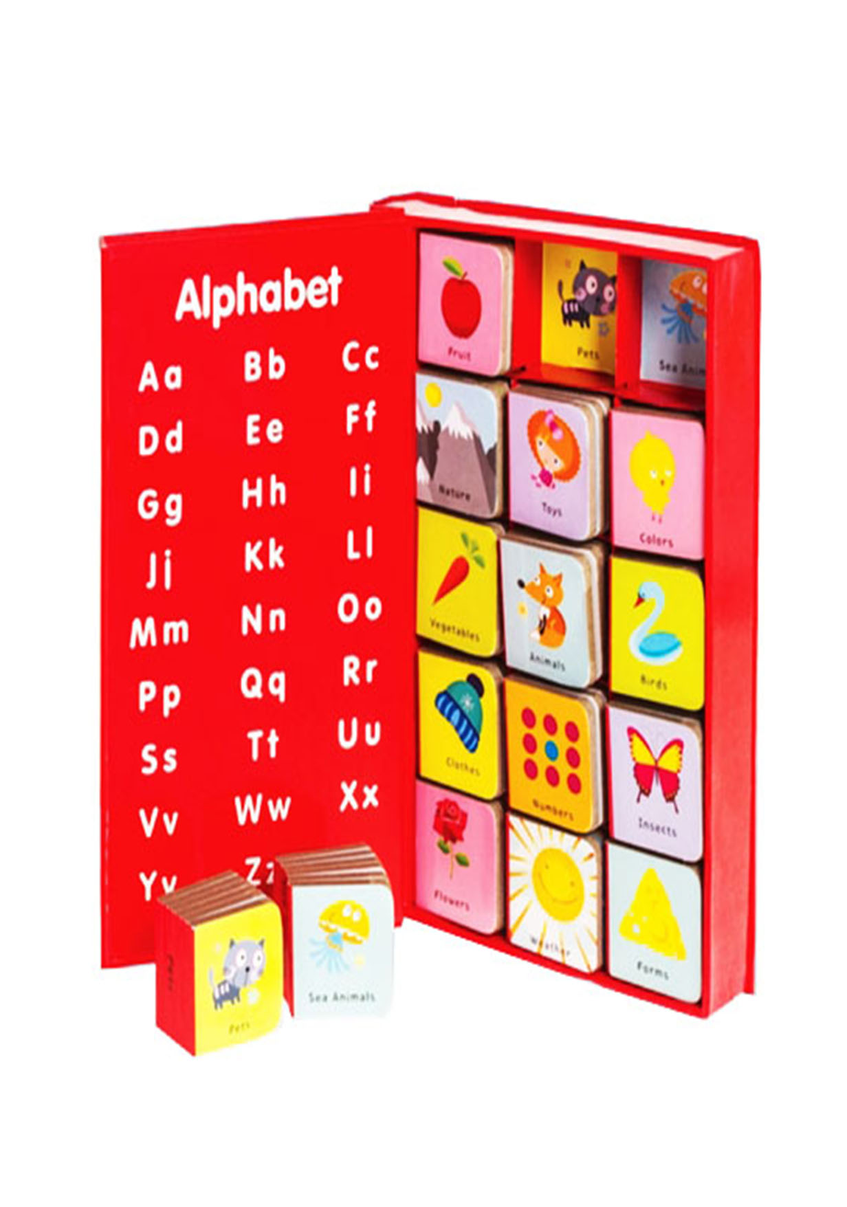 My First Words (15 mini board books in a box + Alphabet (হার্ডকভার)