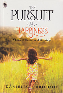 The Pursuit of Happiness (পেপারব্যাক)