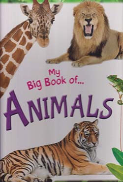 Big Book Of Animals (পেপারব্যাক)