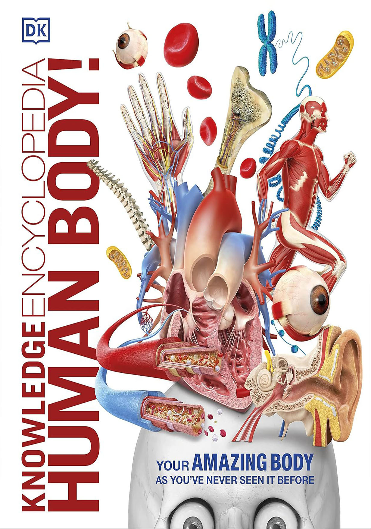 Knowledge Encyclopedia Human Body (হার্ডকভার)