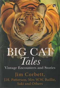 Big Cat Tales : Vintage Encounters and Stories (পেপারব্যাক)