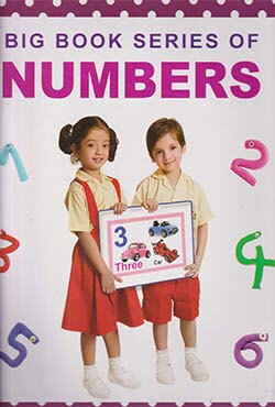 Big Book Series Of Numbers (পেপারব্যাক)