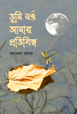 তুমি নও আমার প্রতিবিম্ব (হার্ডকভার)