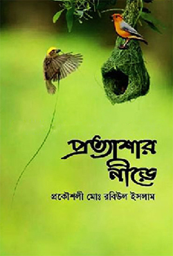 প্রত্যাশার নীড়ে (হার্ডকভার)