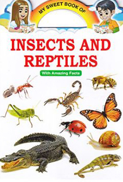 My Sweet Book of Insects And Reptiles With Amazing Facts (পেপারব্যাক)