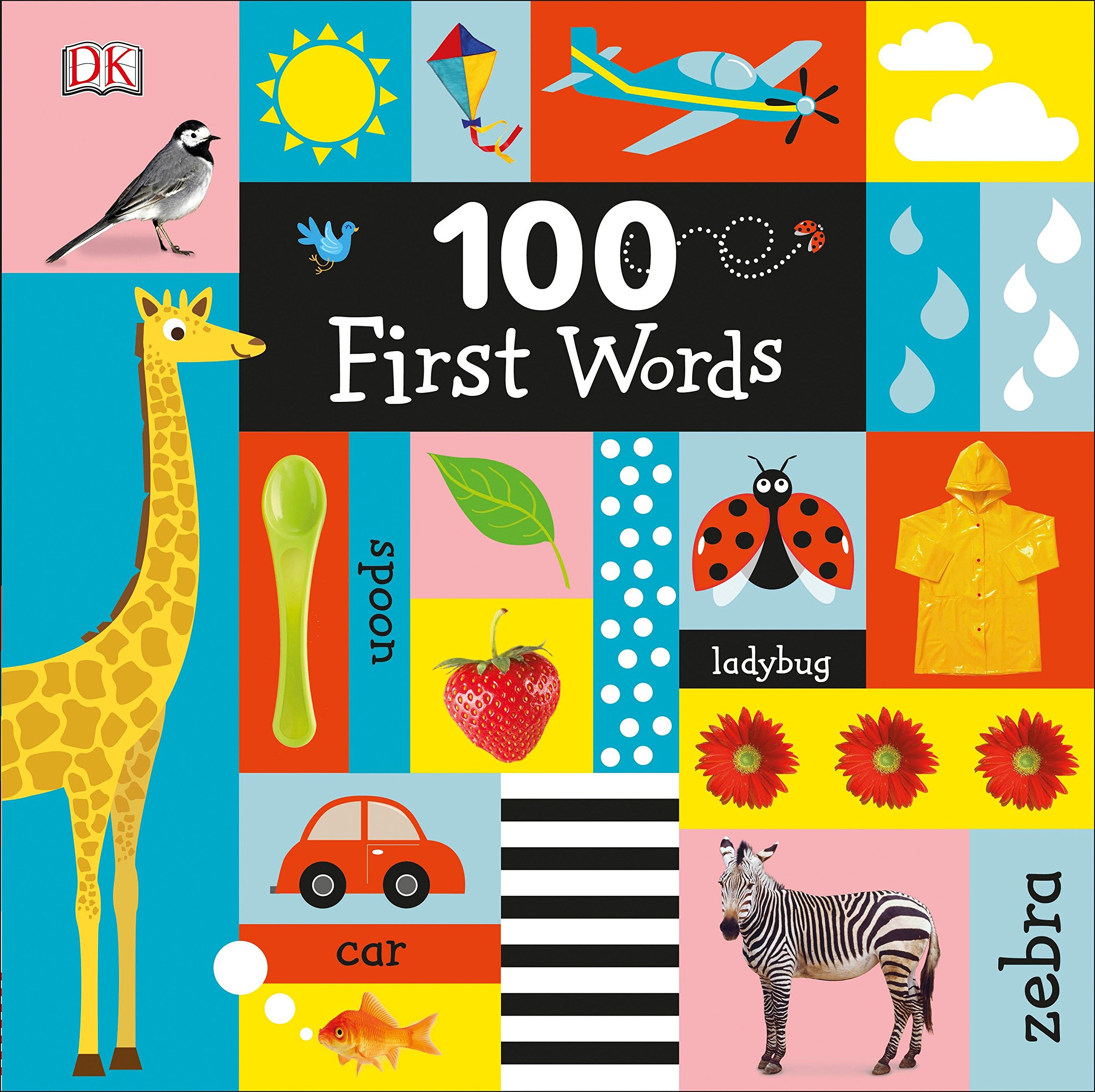 100 First Words (হার্ডকভার)