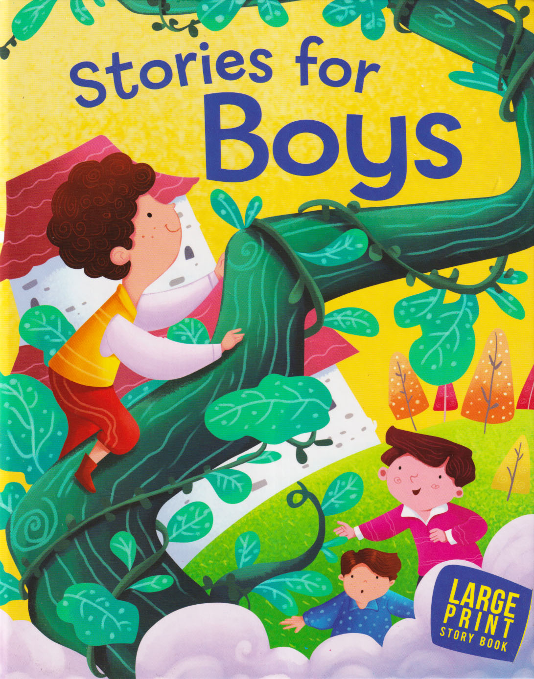 Large Print Story Book : Stories for Boys (হার্ডকভার)