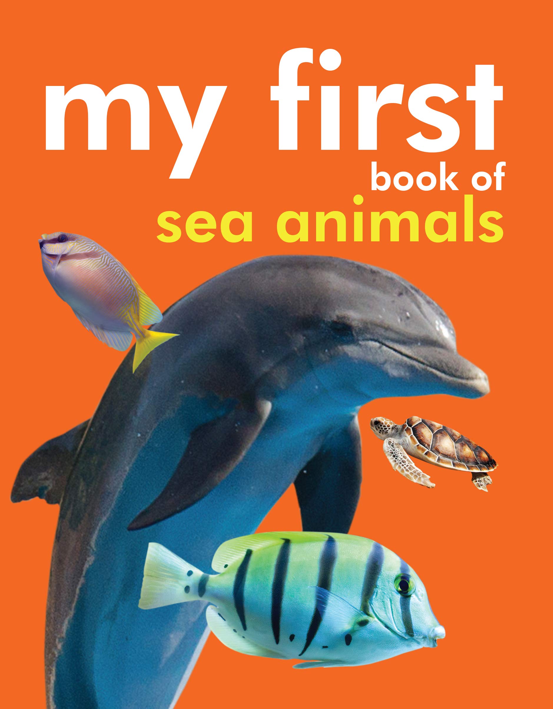 my first book of sea animals (হার্ডকভার)