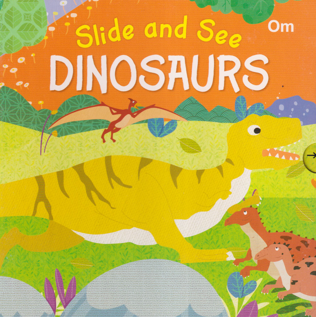 Slide and See Dinosaurs (পেপারব্যাক)