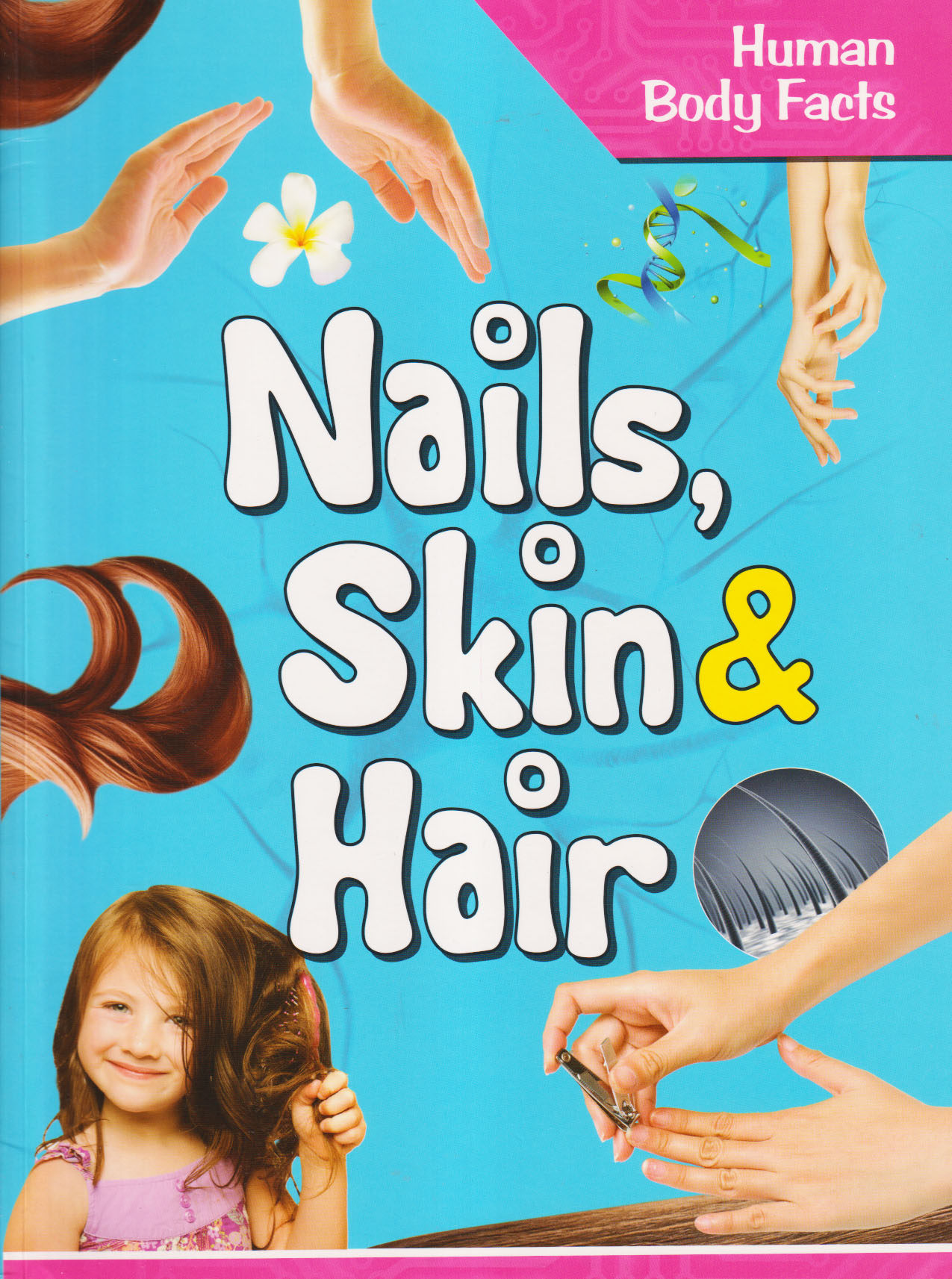 Human Body: Nails, Skin & Hair (পেপারব্যাক)