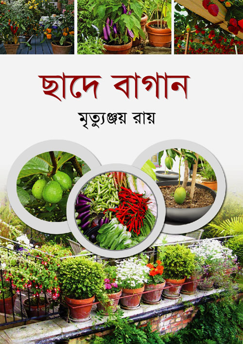 ছাদে বাগান (পেপারব্যাক)