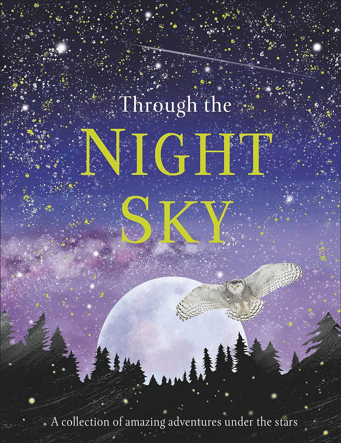 Through the Night Sky (হার্ডকভার)