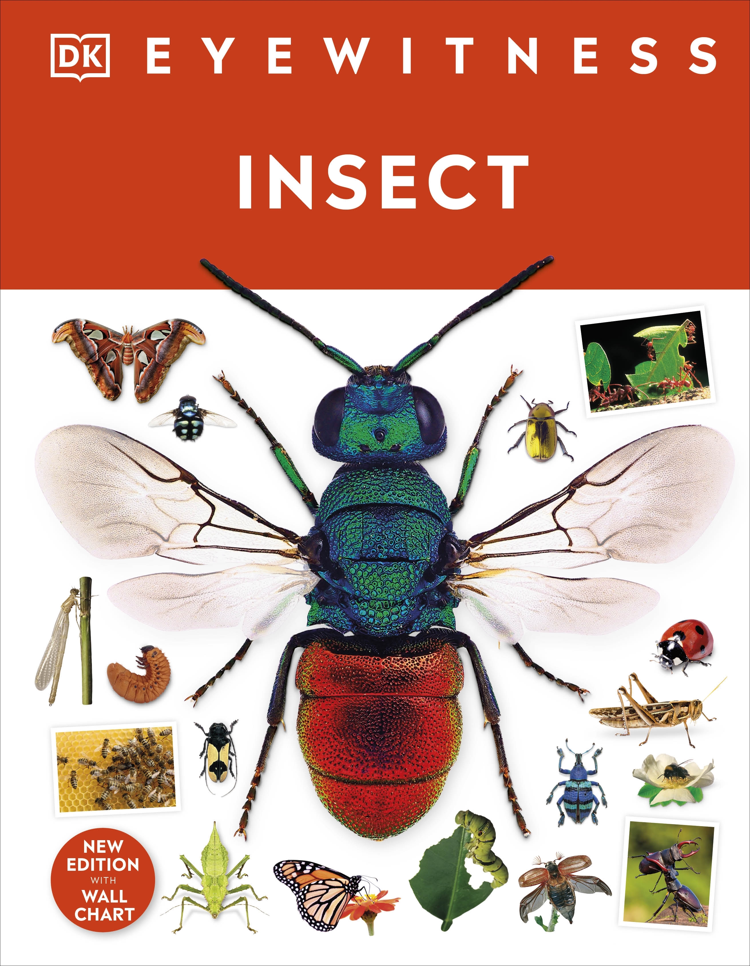 Insect (হার্ডকভার)