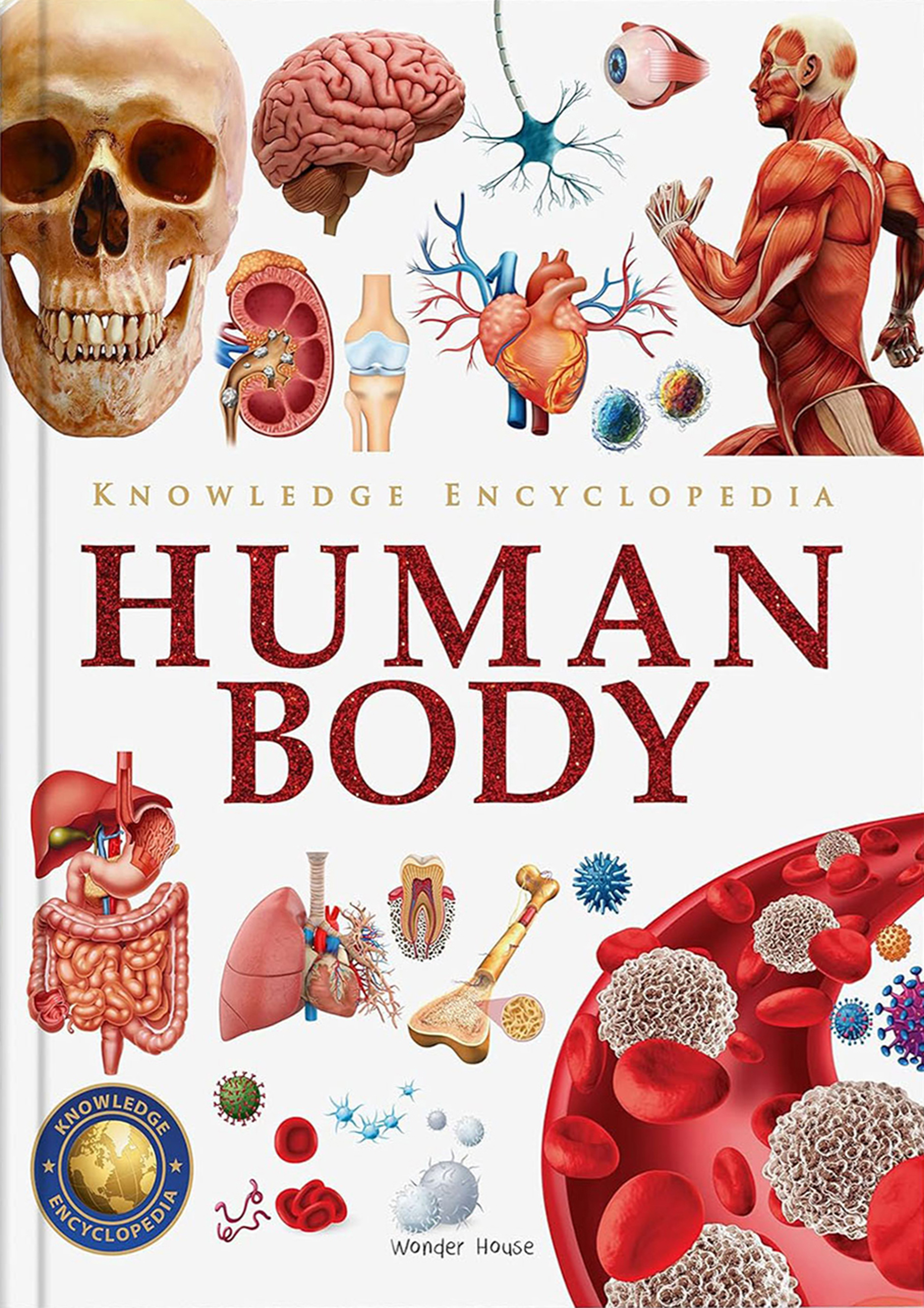 Knowledge Encyclopedia Human Body (হার্ডকভার)
