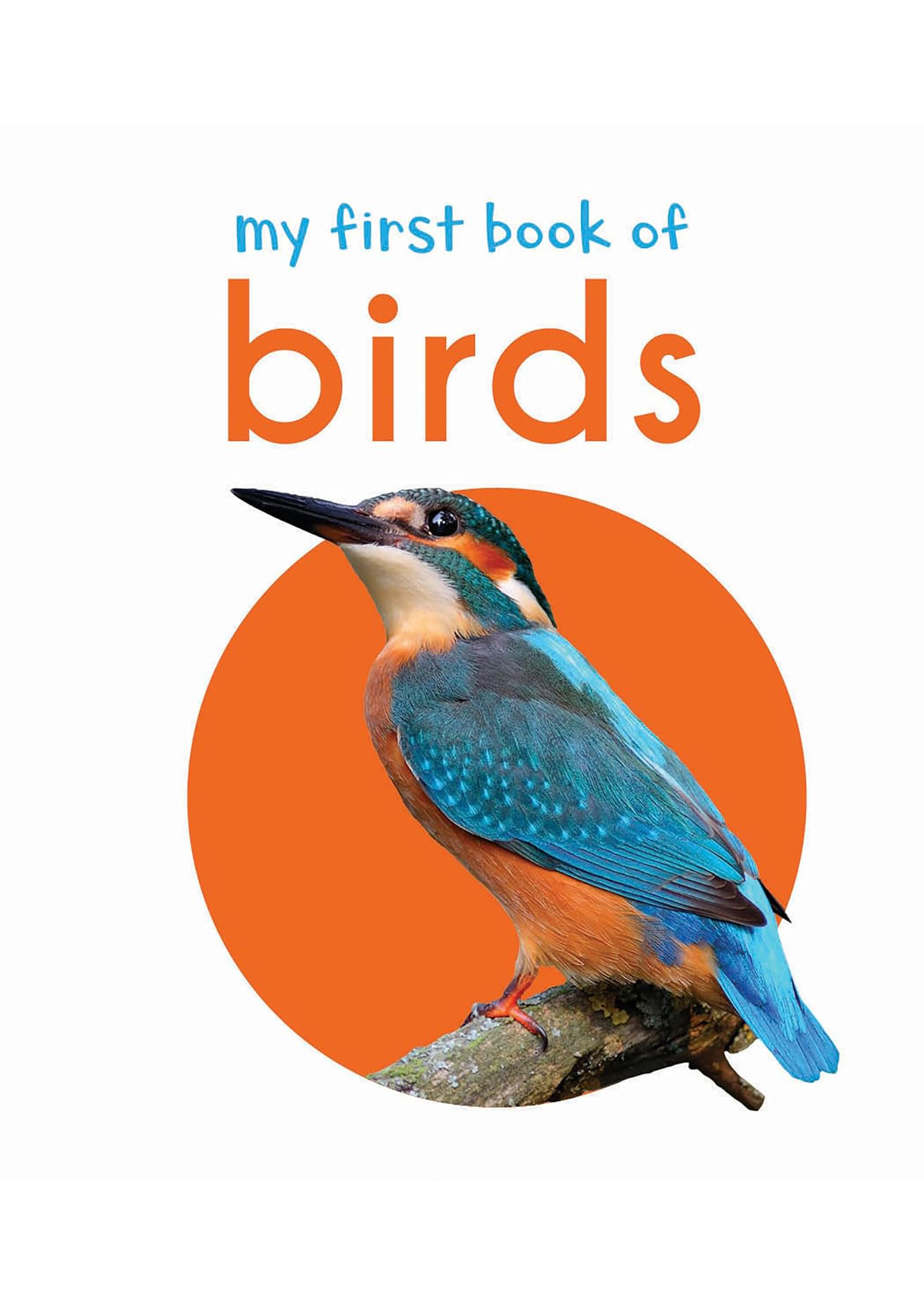 My First Book of Birds (পেপারব্যাক)