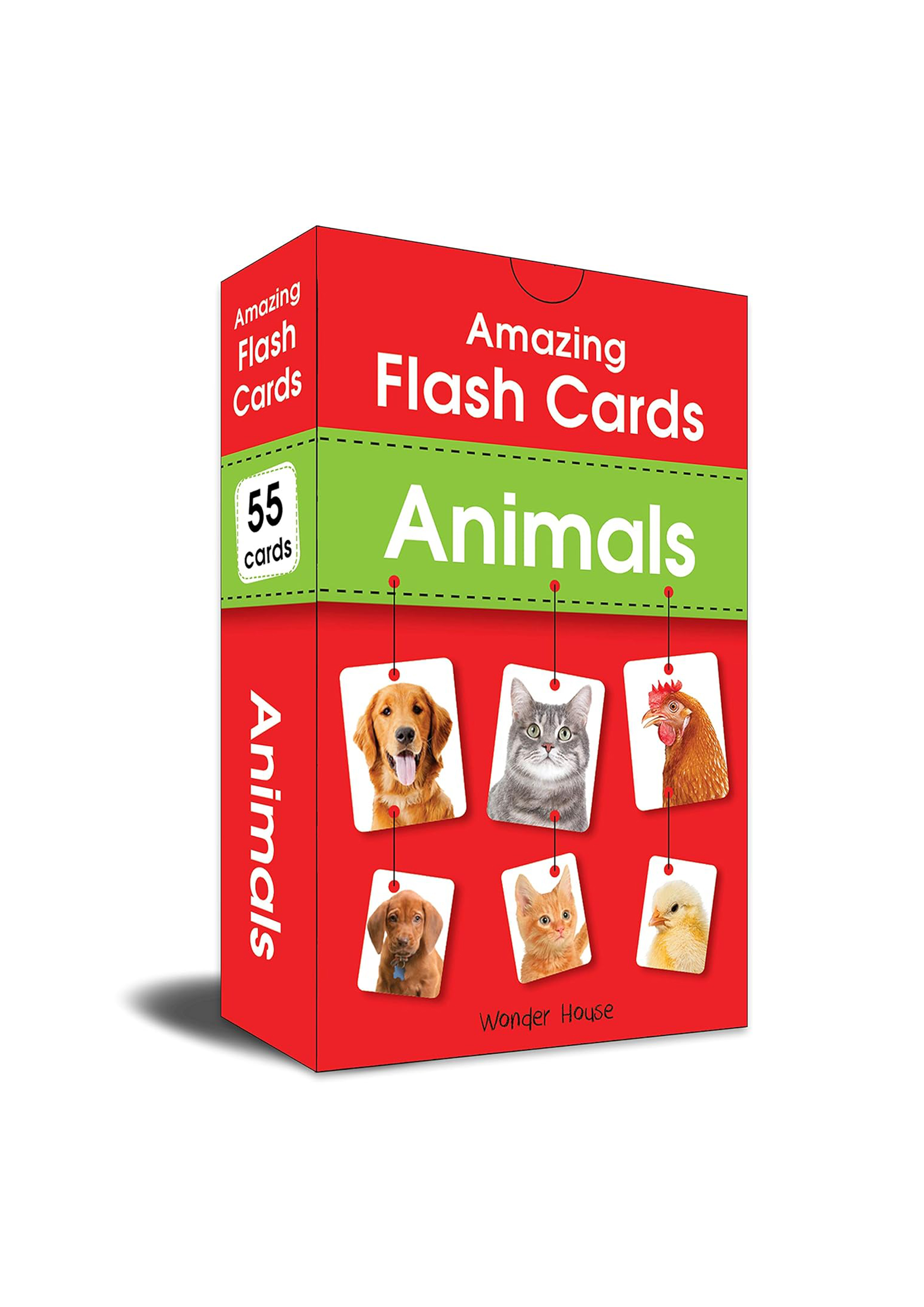 Amazing Flash Cards Animals (হার্ডকভার)