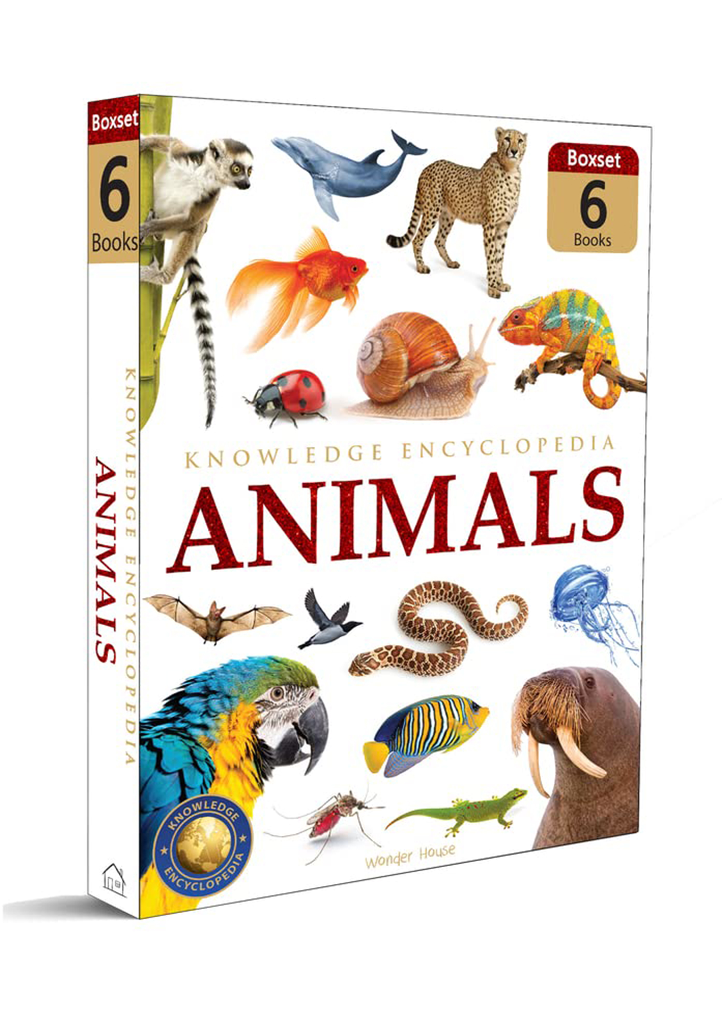Knowledge Encyclopedia Animals Boxset 6 Books (হার্ডকভার)