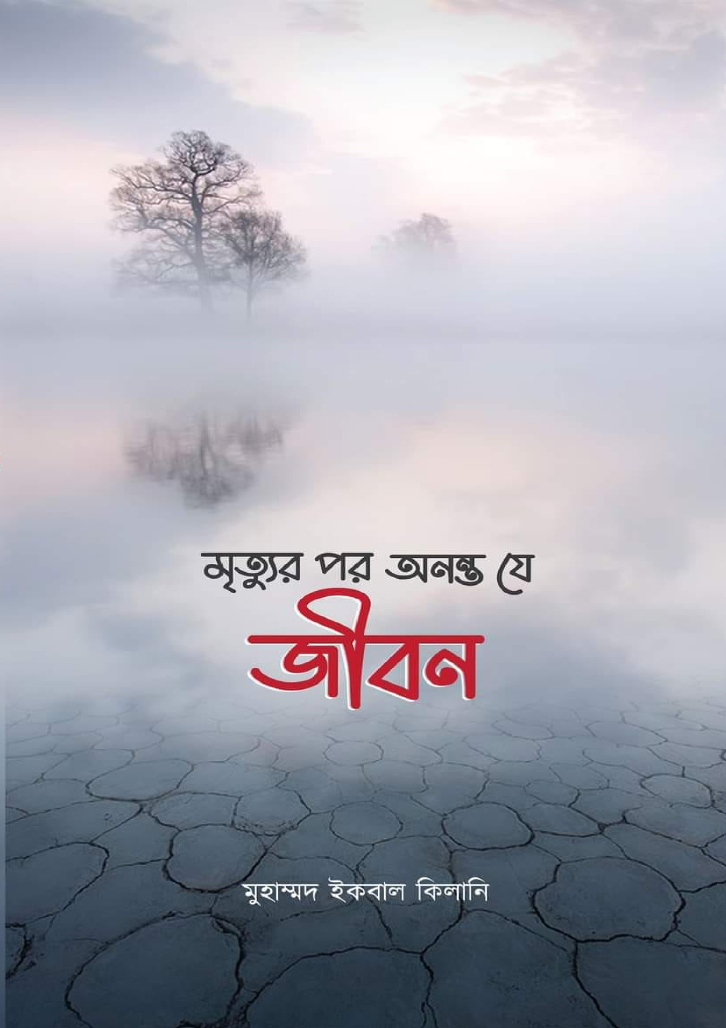 মৃত্যুর পর অনন্ত যে জীবন (হার্ডকভার)