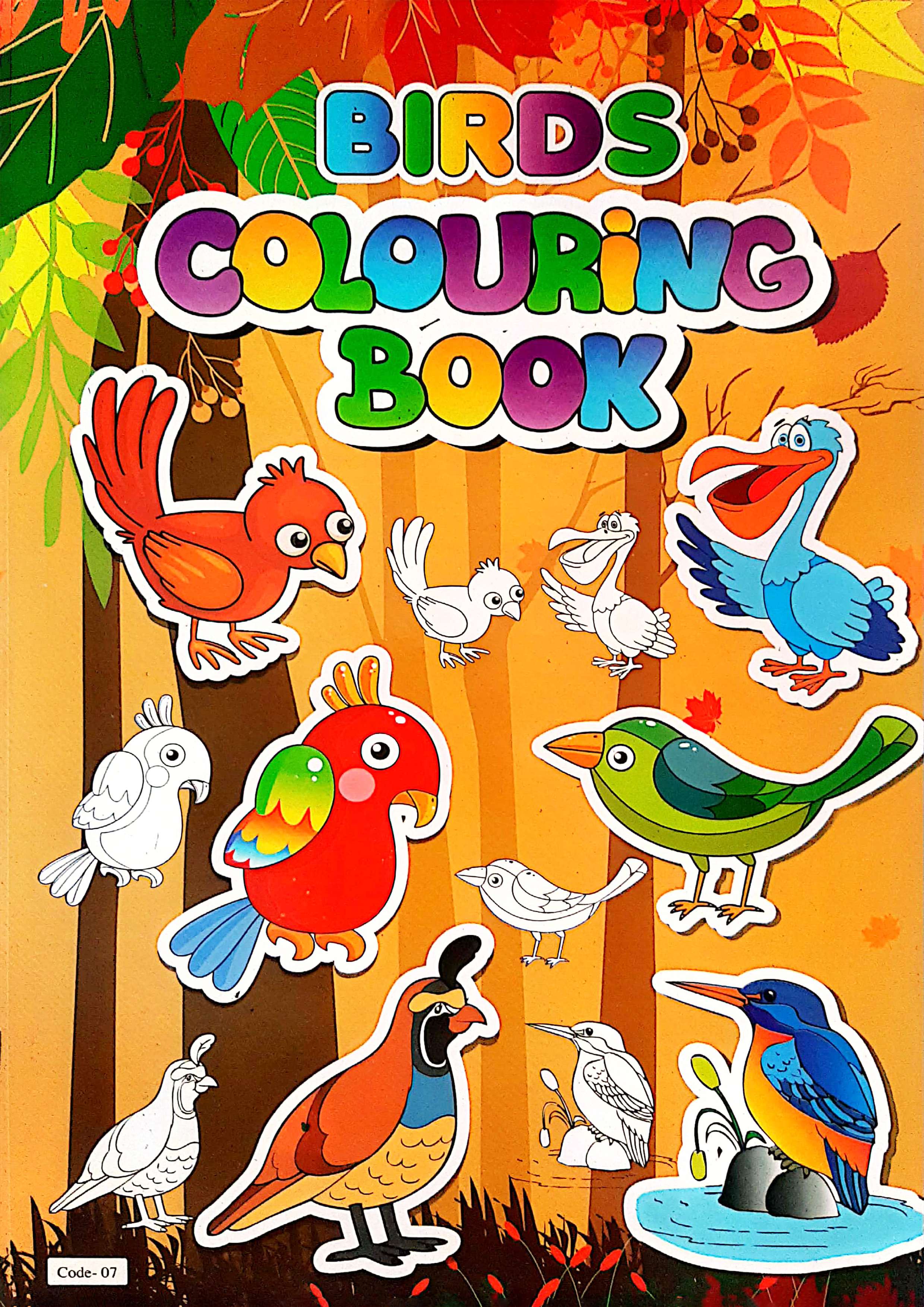 Birds Colouring Book (Code-07) (পেপারব্যাক)