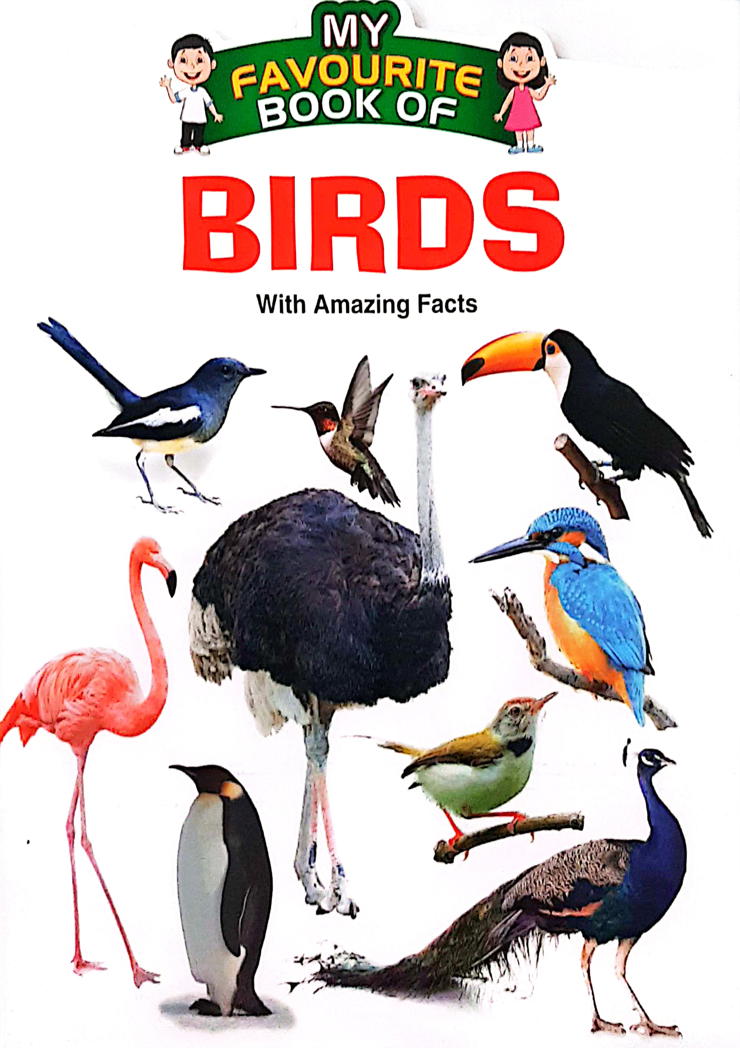 My Favourite Book Of : Birds (পেপারব্যাক)