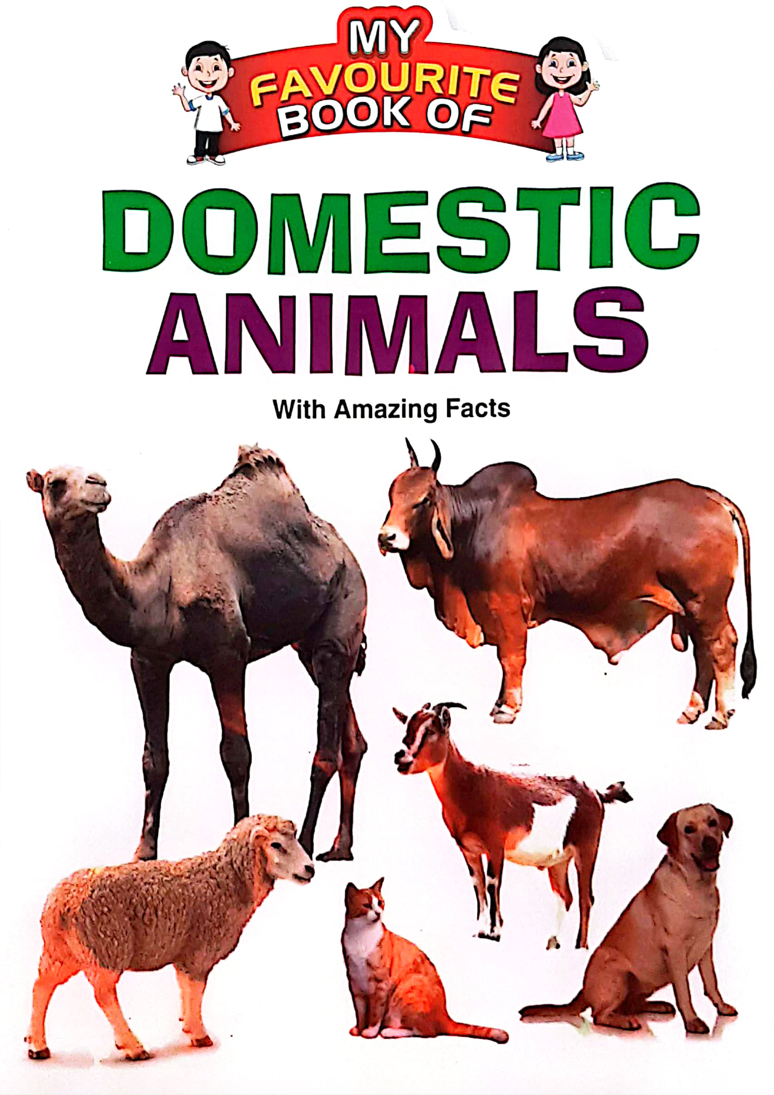 My Favourite Book Of : Domestic Animals (পেপারব্যাক)