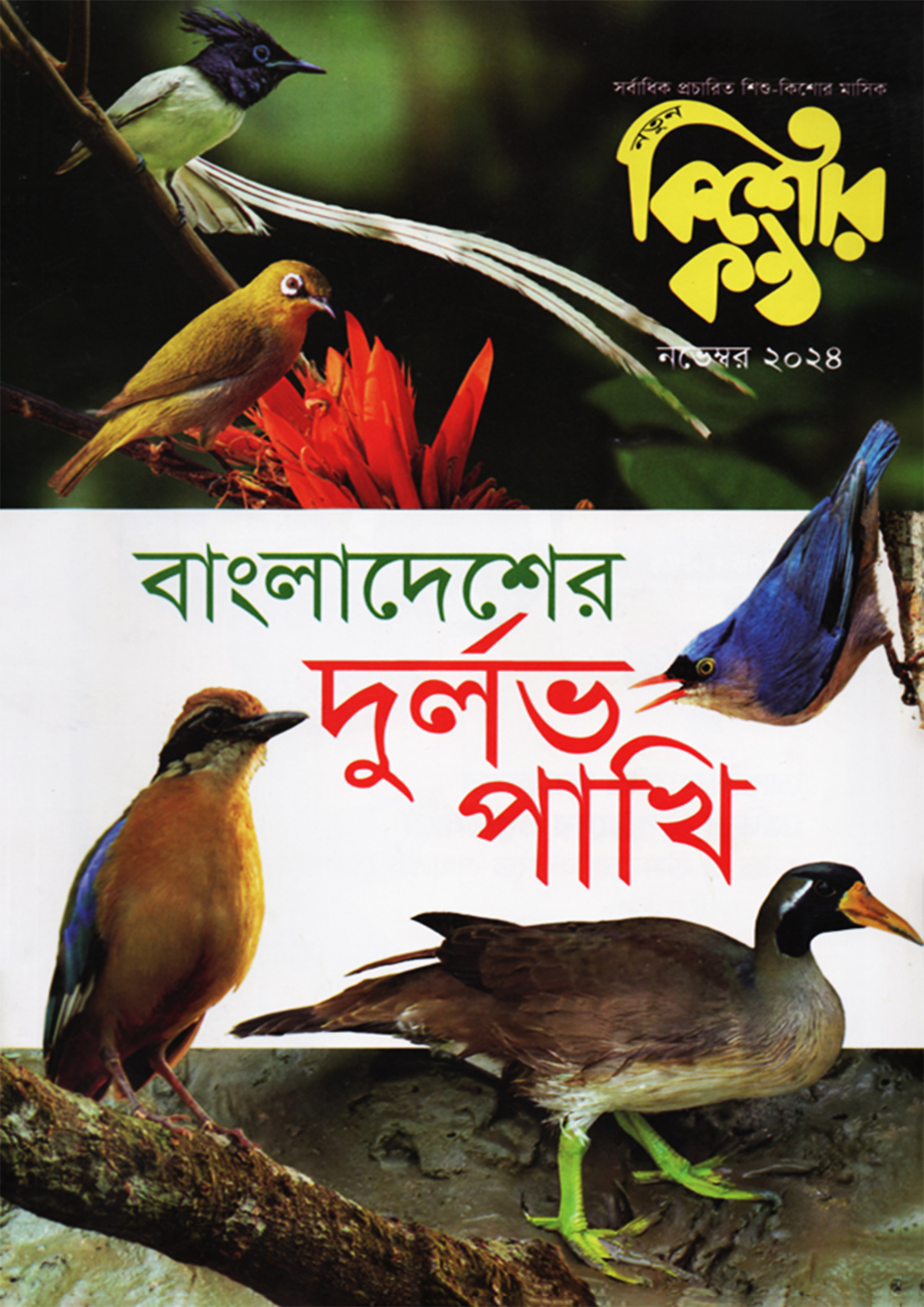 কিশোরকণ্ঠ - নভেম্বর ২০২৪ (পেপারব্যাক)