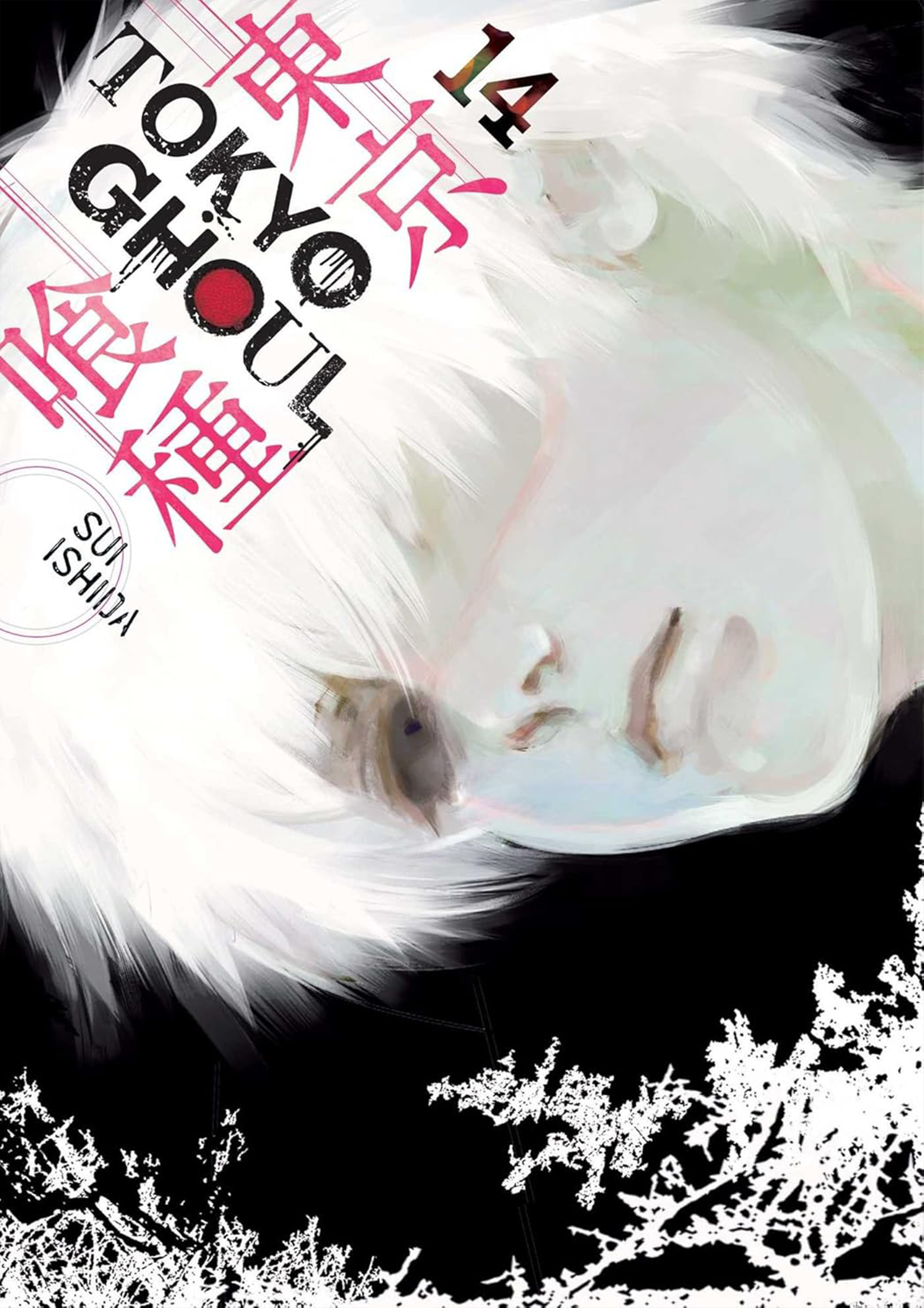 Tokyo Ghoul Vol. 14 (পেপারব্যাক)