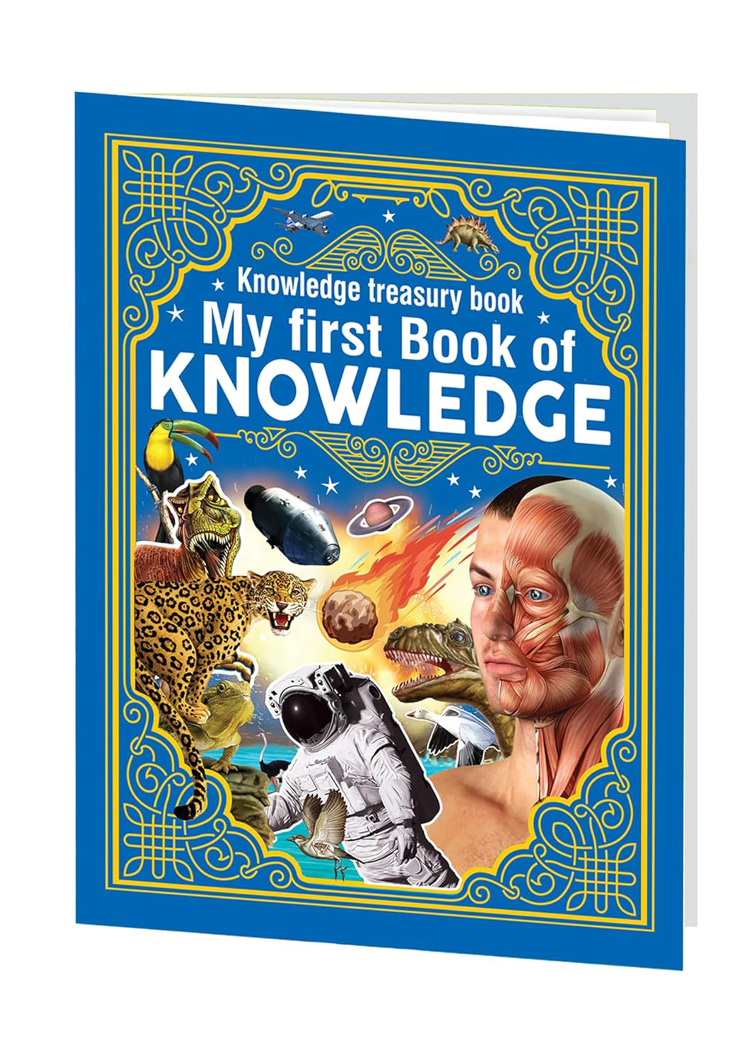 My First Book Of Knowledge (হার্ডকভার)