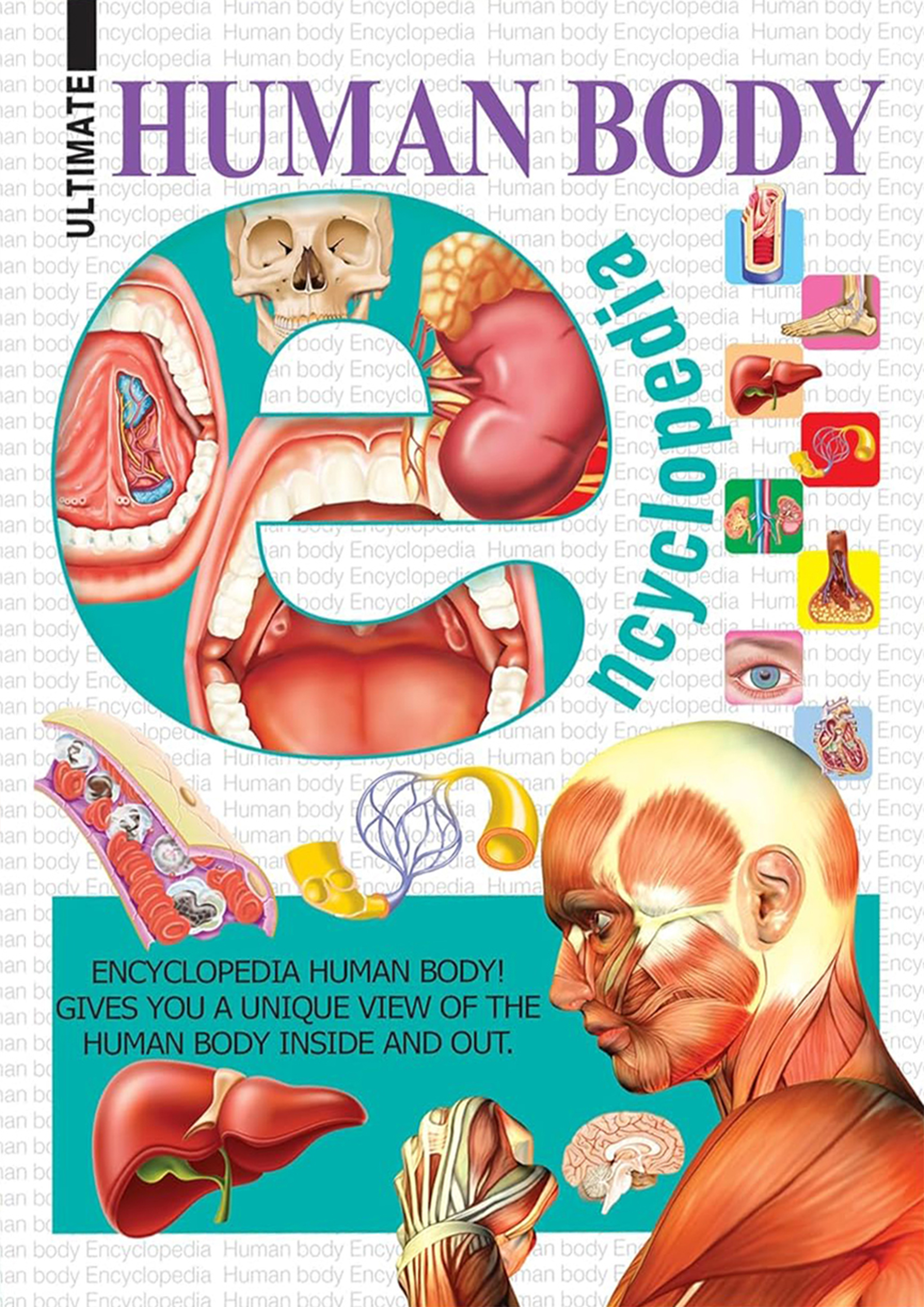 Ultimate Human Body Encyclopedia (হার্ডকভার)