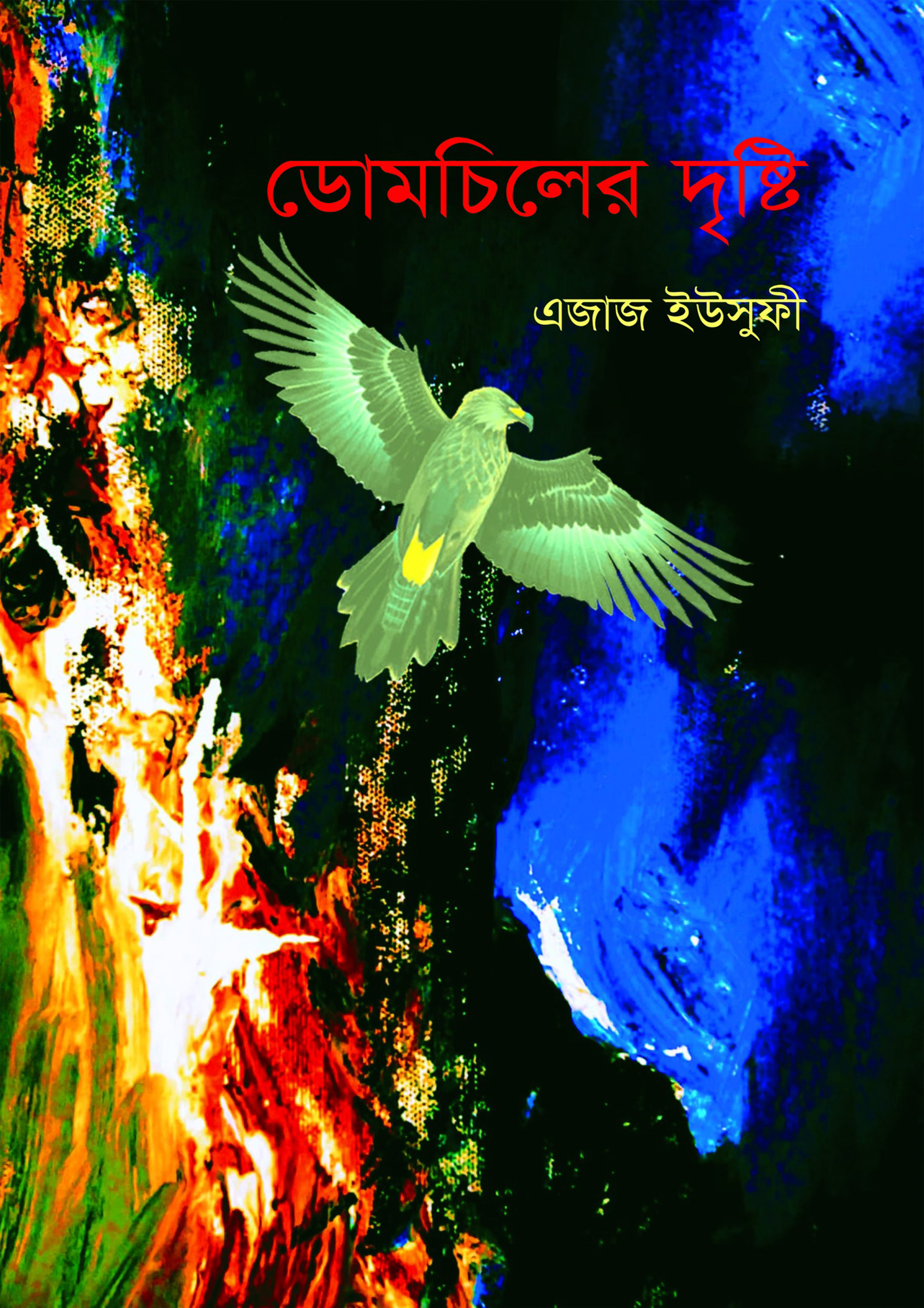 ডোমচিলের দৃষ্টি (হার্ডকভার)