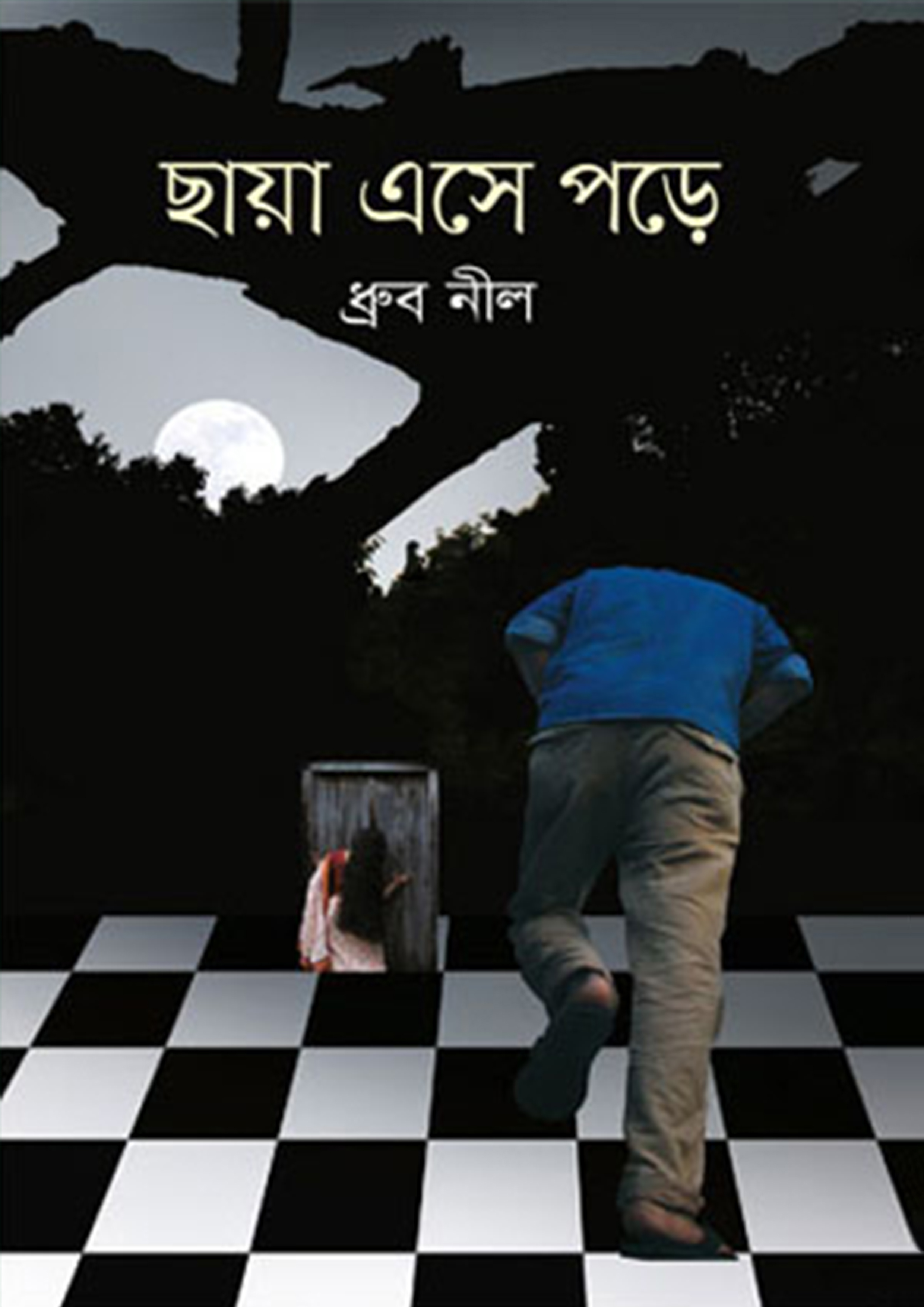 ছায়া এসে পড়ে (পেপারব্যাক)