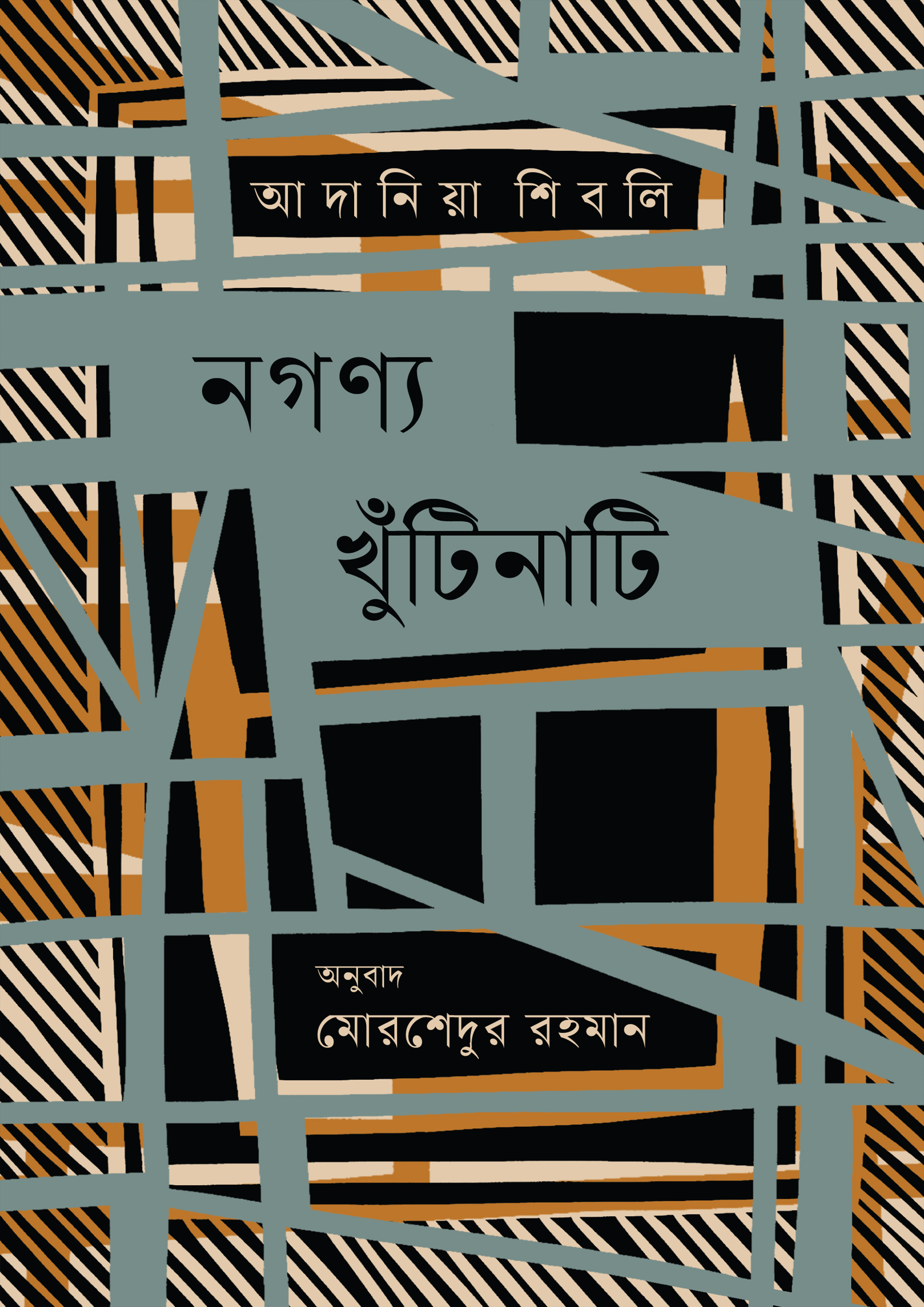 নগণ্য খুঁটিনাটি (হার্ডকভার)