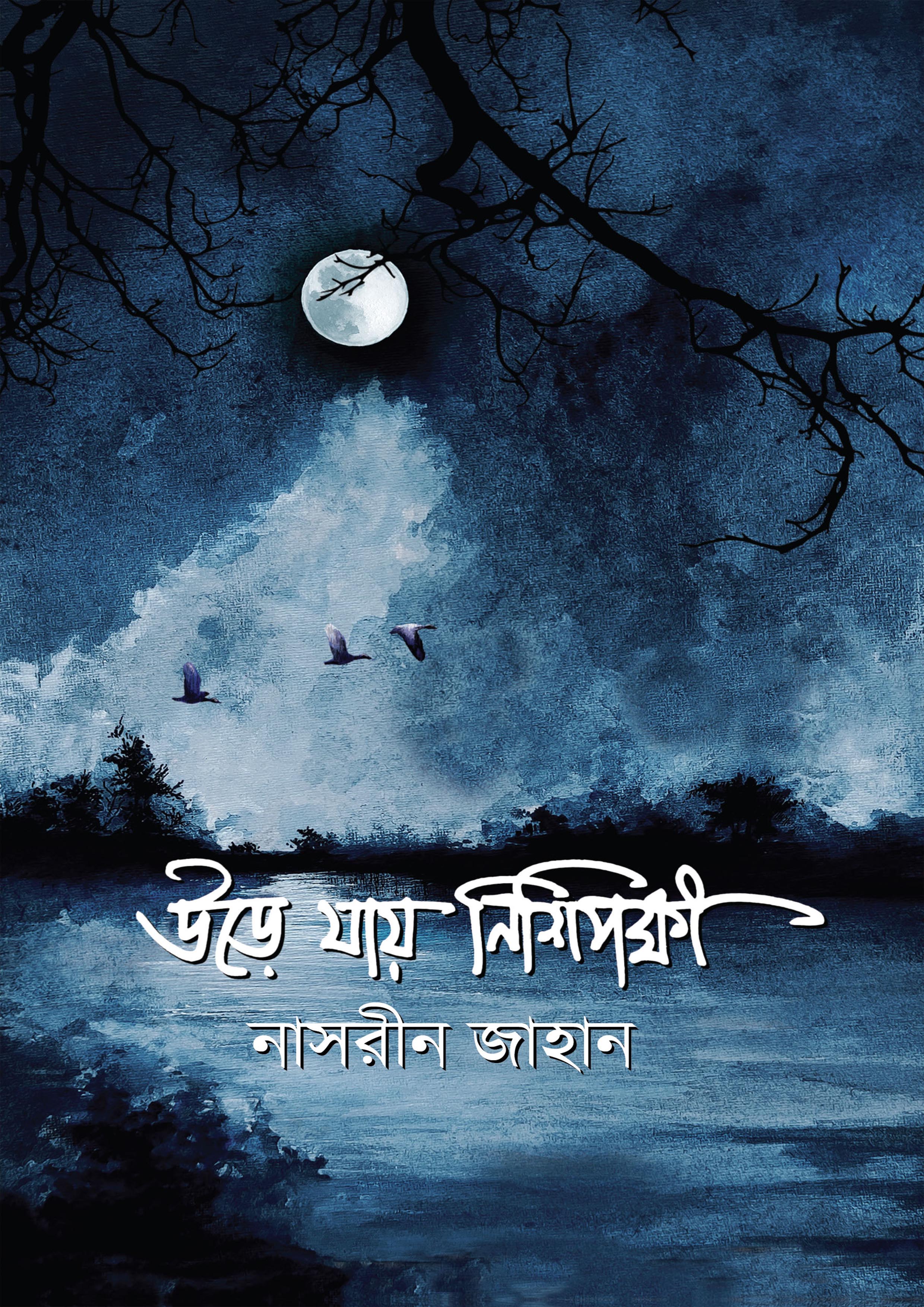 উড়ে যায় নিশিপক্ষী (হার্ডকভার)