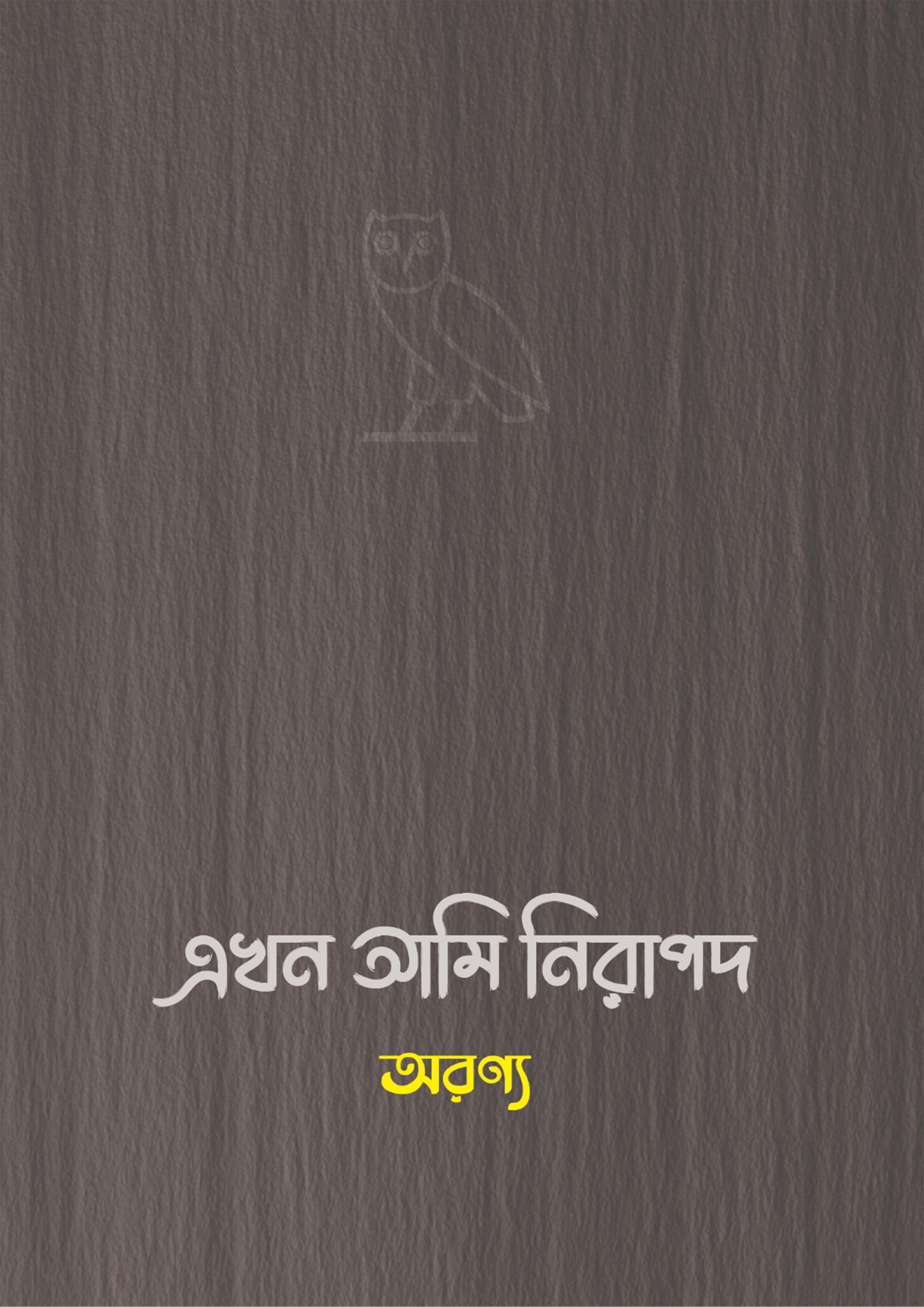 এখন আমি নিরাপদ (হার্ডকভার)