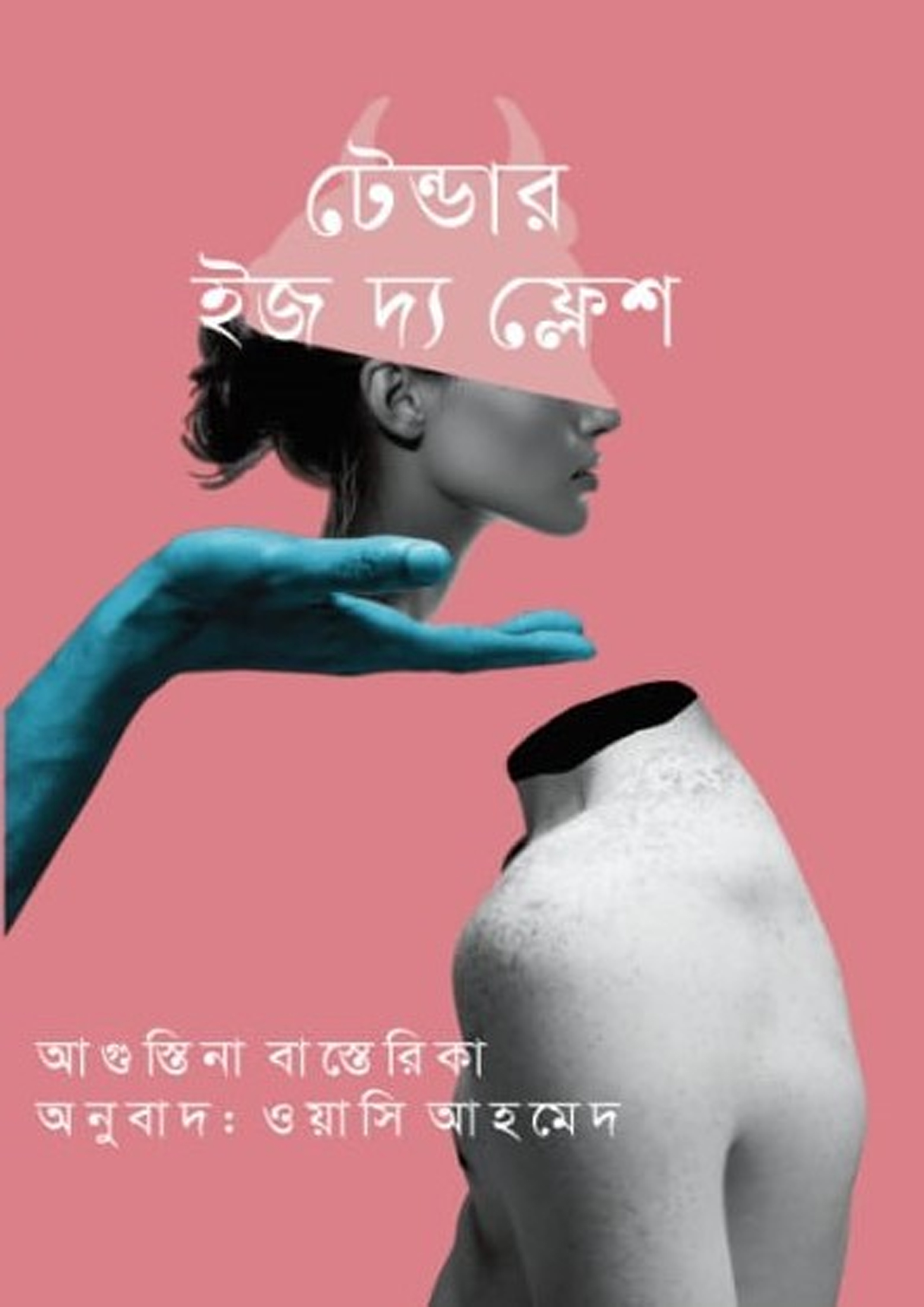 টেন্ডার ইজ দ্য ফ্লেশ (হার্ডকভার) টেন্ডার ইজ দ্য ফ্লেশ (হার্ডকভার)